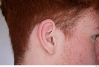 Fergal ear 0002.jpg